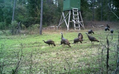 Sartain’s Heritage and LandLeader at the NWTF National Convention