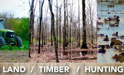 Premier Mississippi Hunting Land For Sale