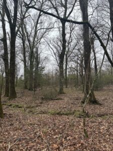 Photo Mar 05 2024 9 44 16 AM 1 1536x2048 1