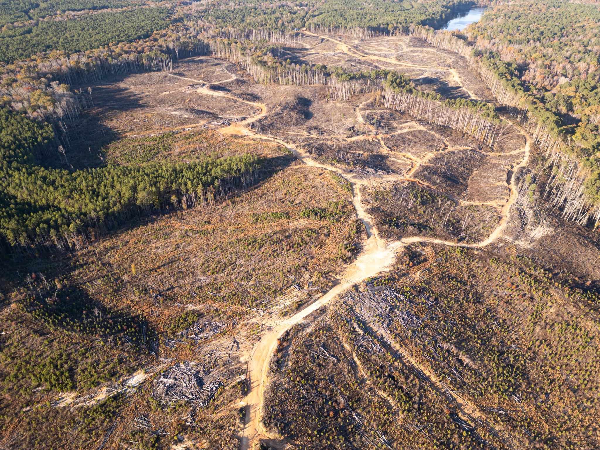 RockyHillProperty 003