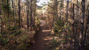 RockyHillProperty 064