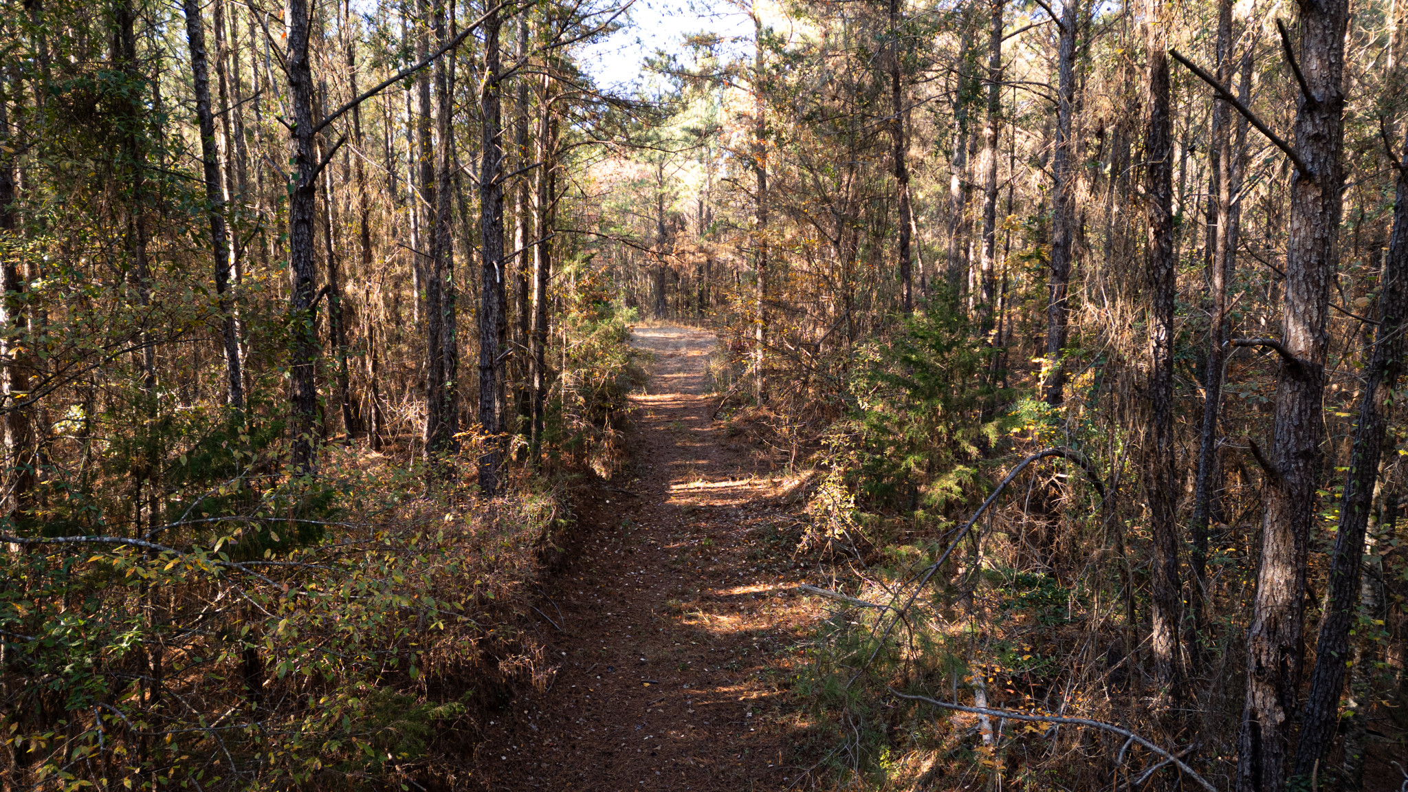 RockyHillProperty 064