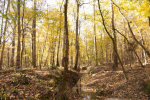 RockyHillProperty 096