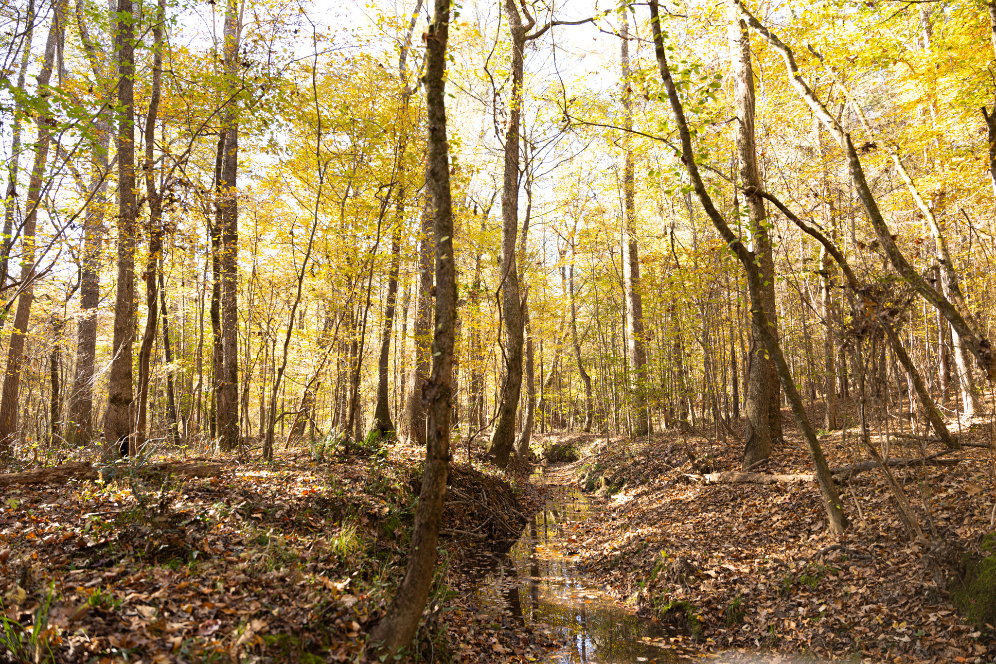 RockyHillProperty 096