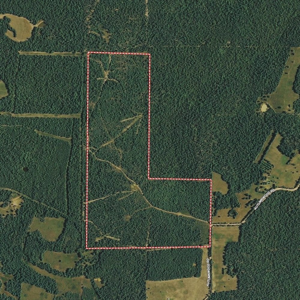 1 Aerial 2 1024x1024 1