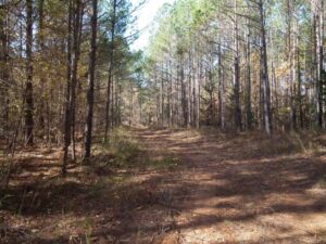 2018 11 26 12.17.58 min min 1024x768 1 2