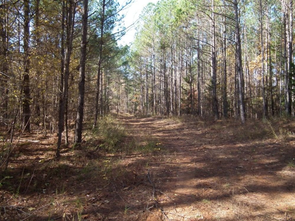 2018 11 26 12.17.58 min min 1024x768 1 2