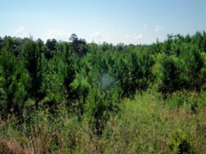 28007Hb023 02 1024x768 1