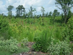 28007Hb024 09 1024x768 1 2