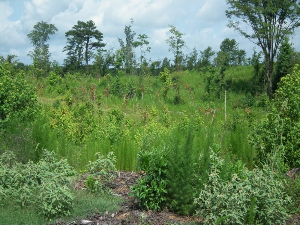 28007Hb024 09 1024x768 1 2