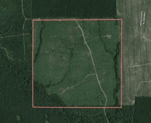 28069Hb021 01 e1543519418109