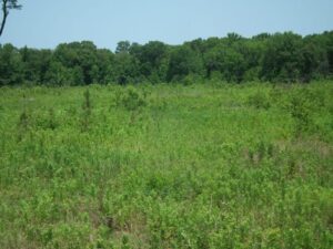 28087Hb002 06 1024x768 1 2