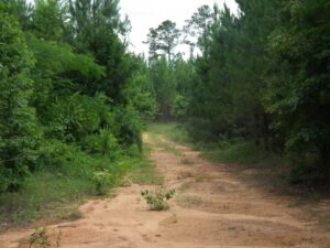 28101Hb016 02 1024x768 1