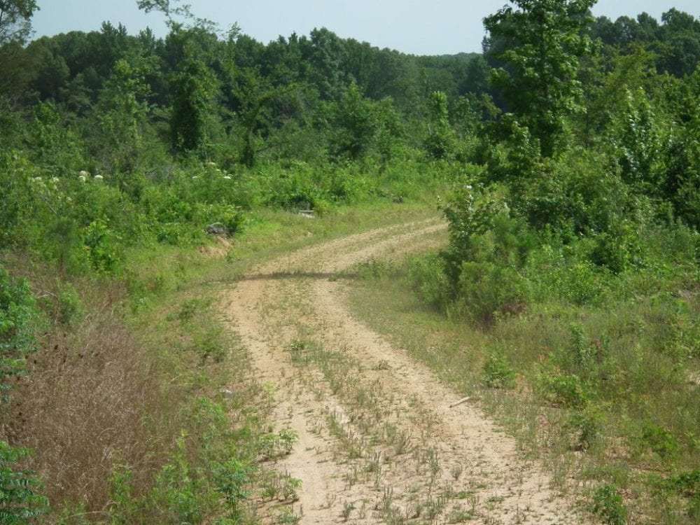 28105Db001 06 1024x768 1 2