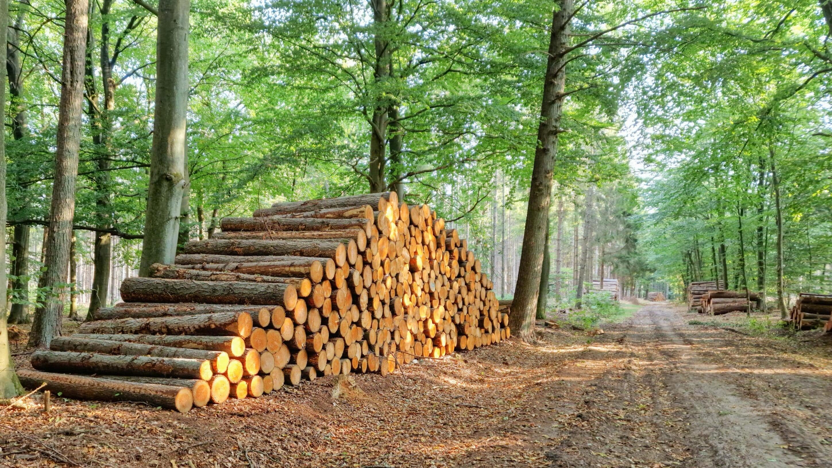 AdobeStock_528216935-min-scaled-min