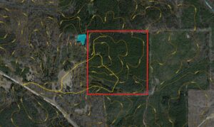 Aerial with Topo 1 scaled 1