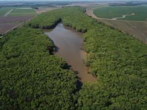 Benson Lake 133 1 1 scaled 1