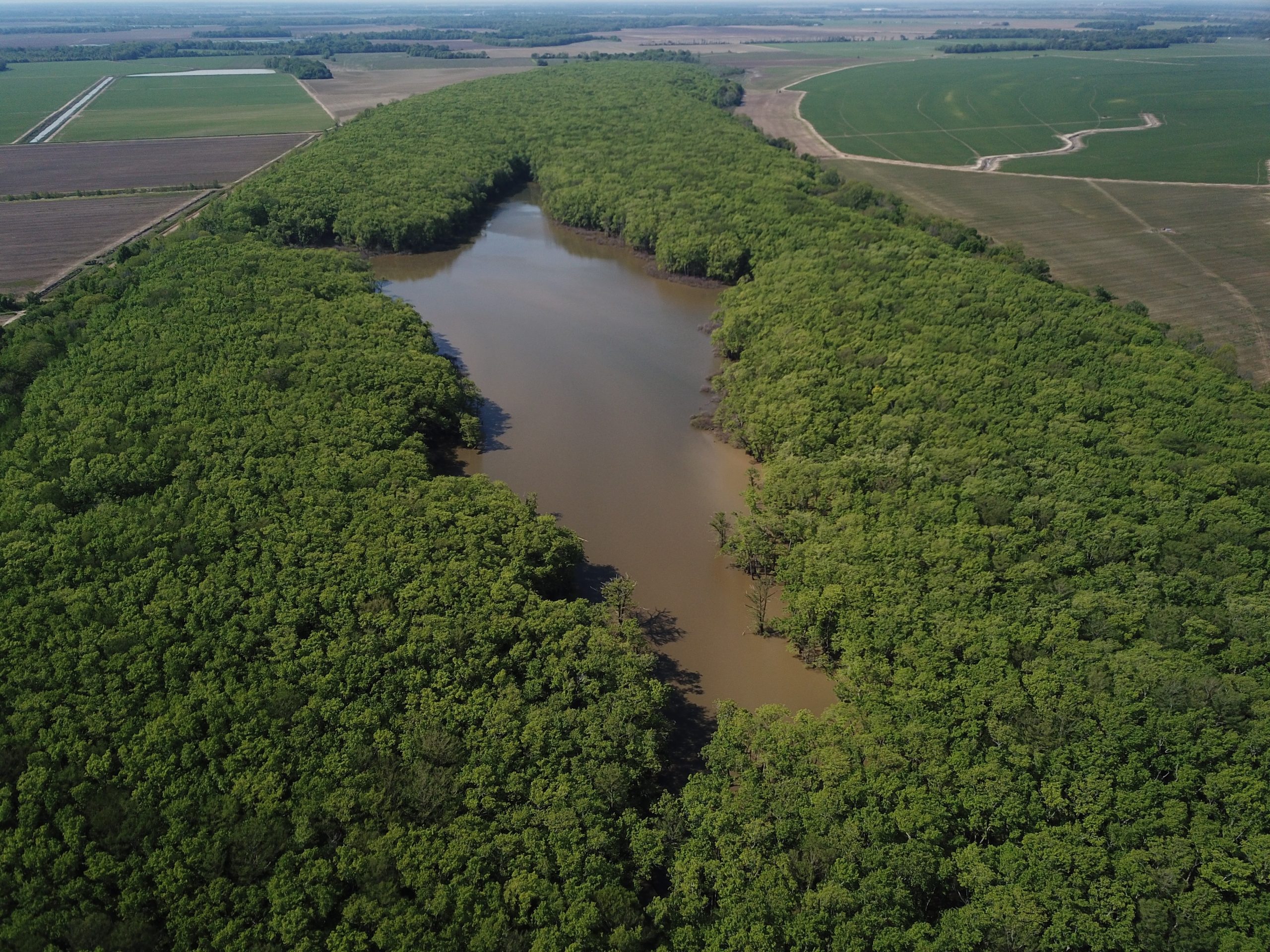 Benson Lake 133 1 1 scaled 1