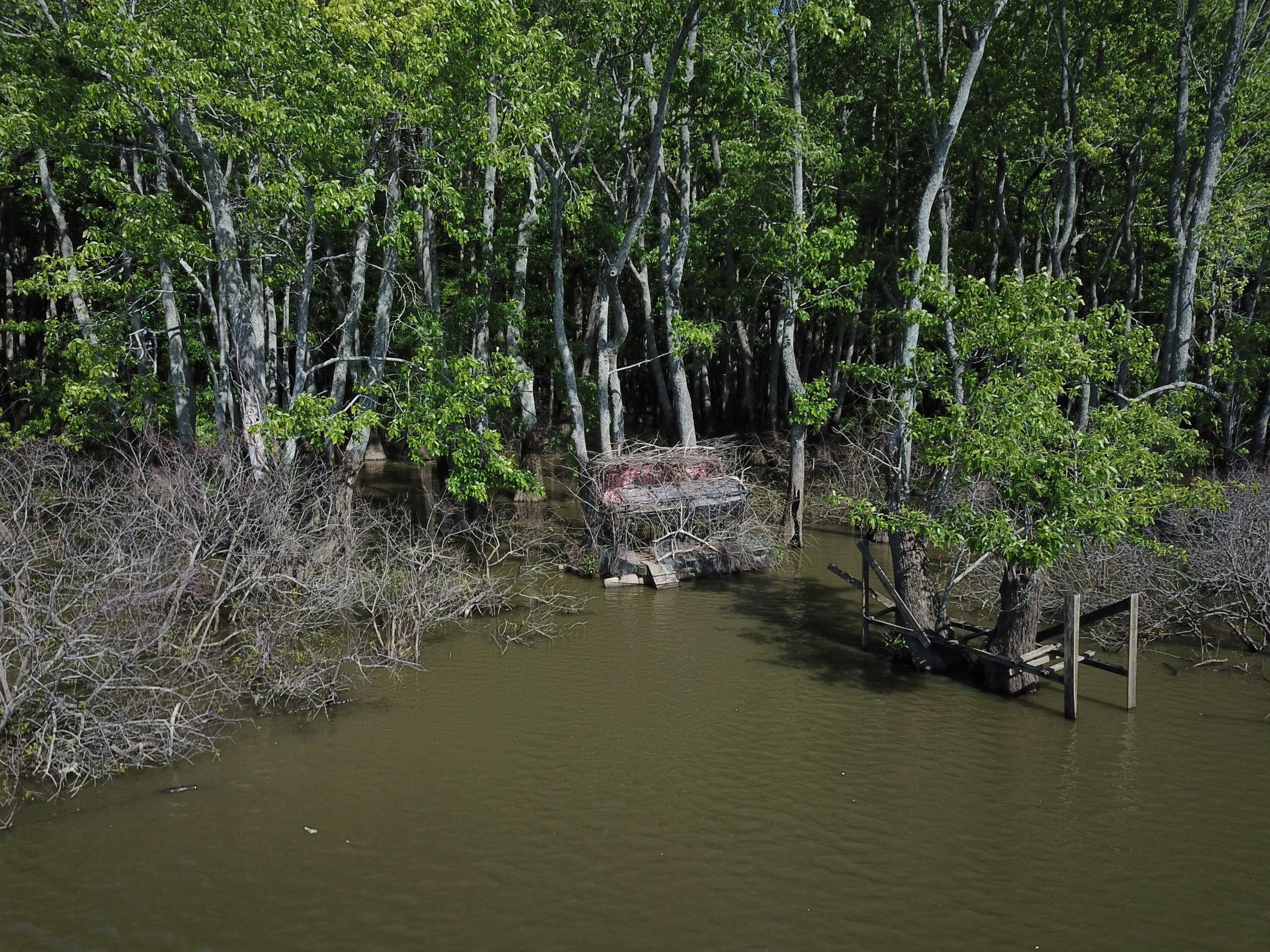 Benson Lake 133 2 scaled 1