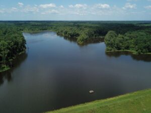 Blackberry 1 resized 1024x768 1 2