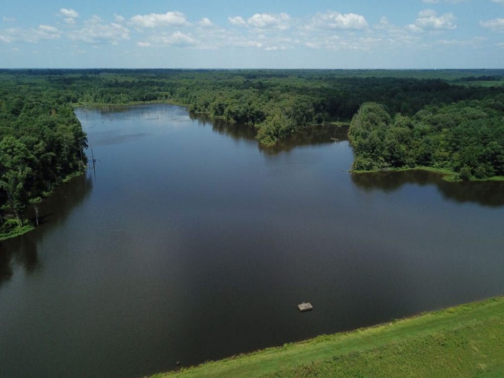 Blackberry 1 resized 1024x768 1 2