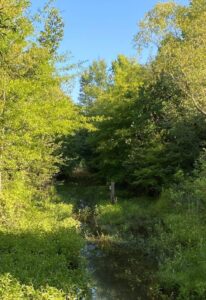 Creek Pic 704x1024 1