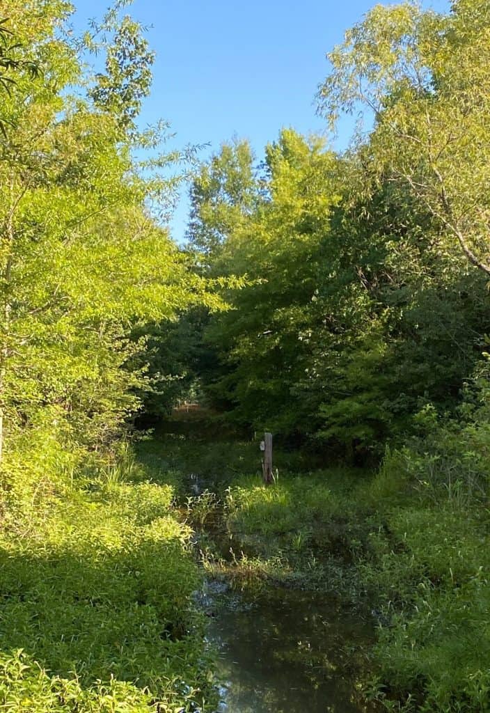 Creek Pic 704x1024 1