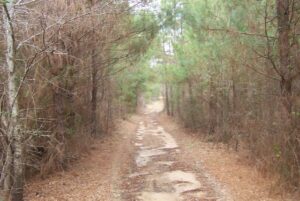 Crossroads Road 27 004