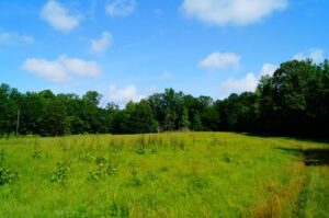 DSC02167 2 1024x680 1