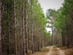 DSC03423 1 1024x768 1 2