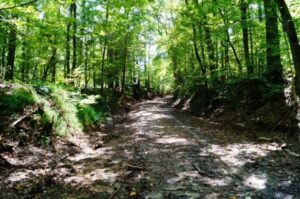 DSC04664 Resized 2 2