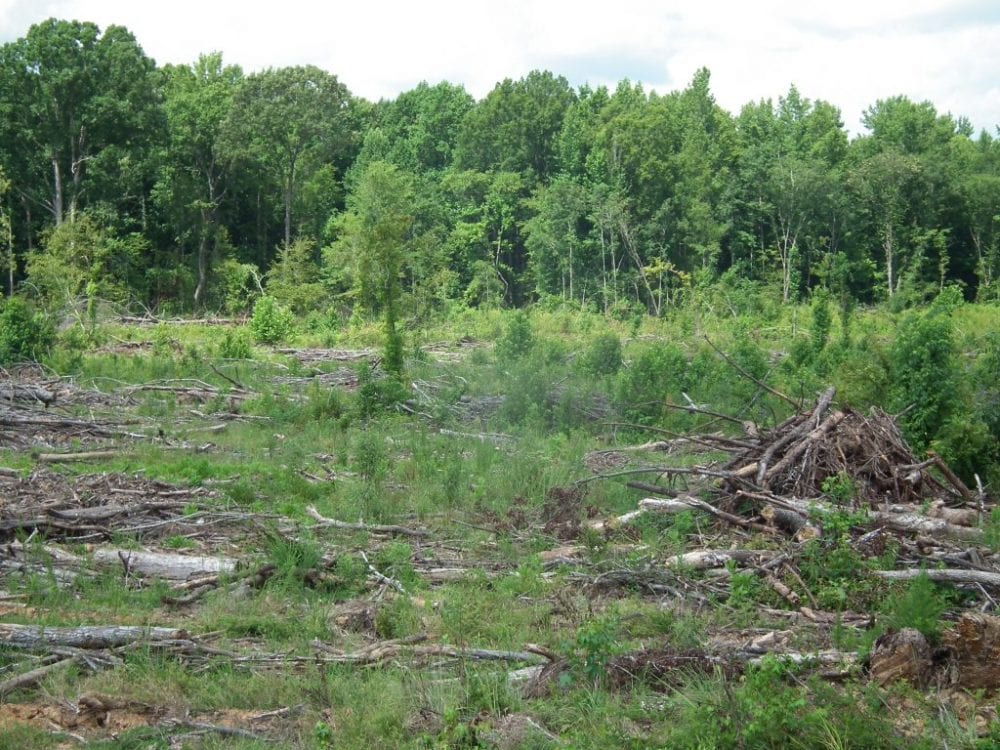 DSCF2664 1024x768 2 2