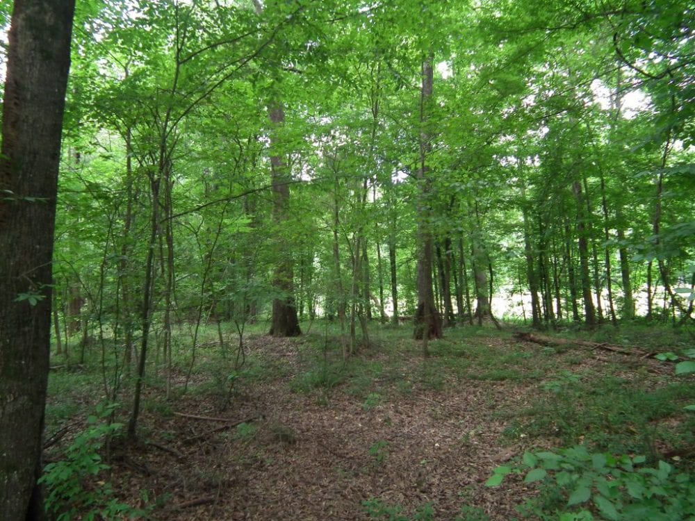 DSCF3200 1024x768 1 2