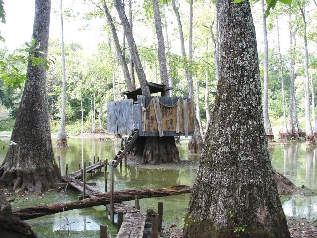 Duck Blind in 308 woods