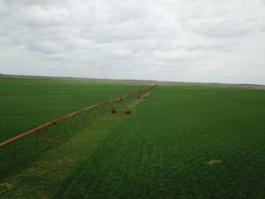 English Farm 1 scaled 1