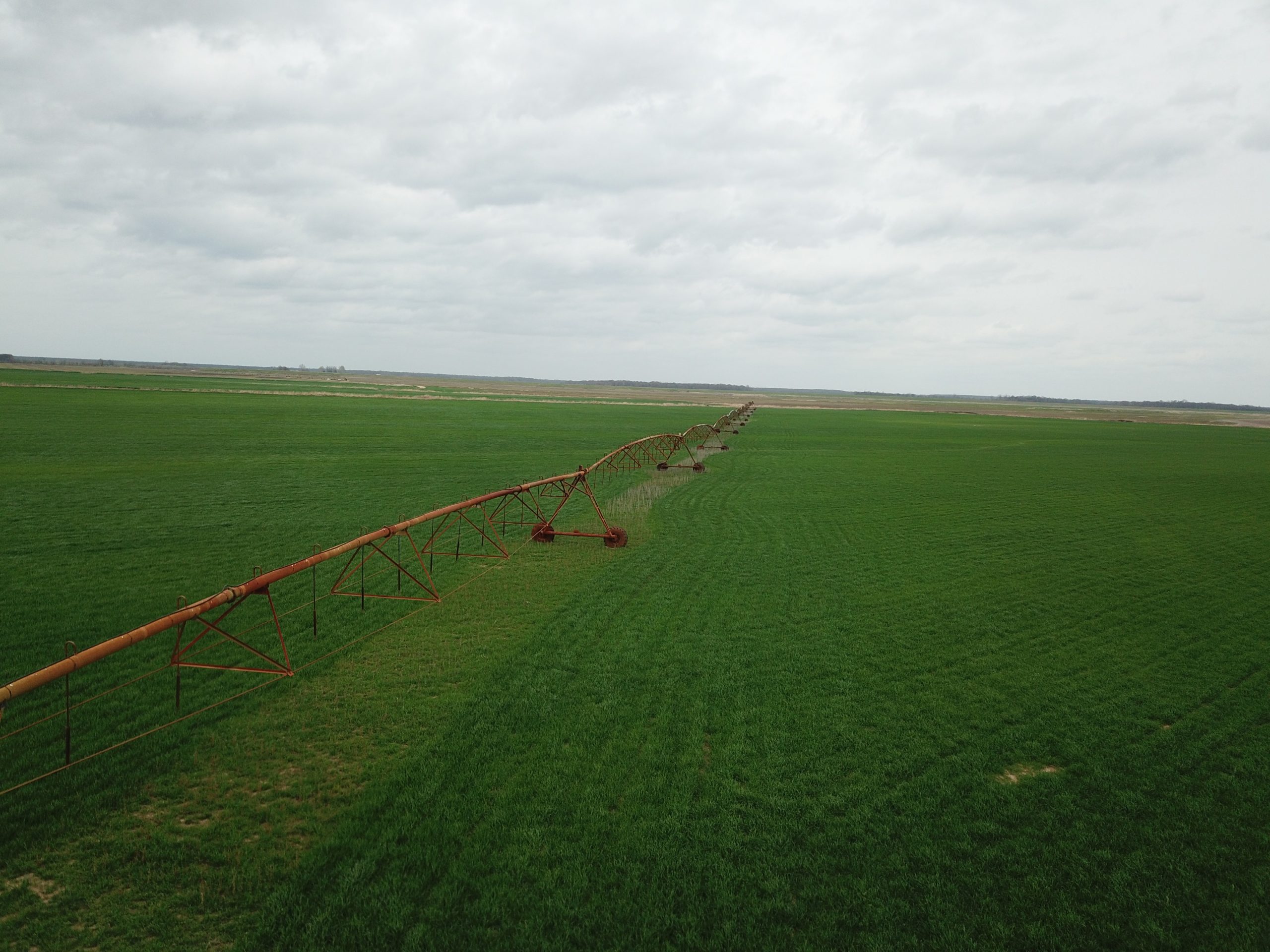 English Farm 1 scaled 1