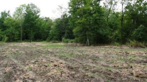 Food Plot3