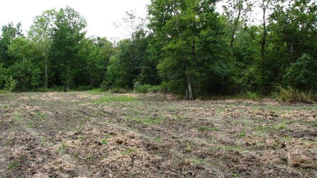 Food Plot3