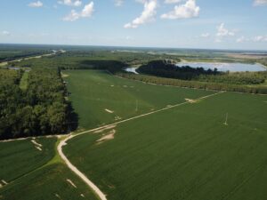 Fowler Plantation Tract A 3 scaled 1