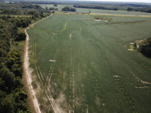 Fowler Plantation Tract C 9 scaled 1