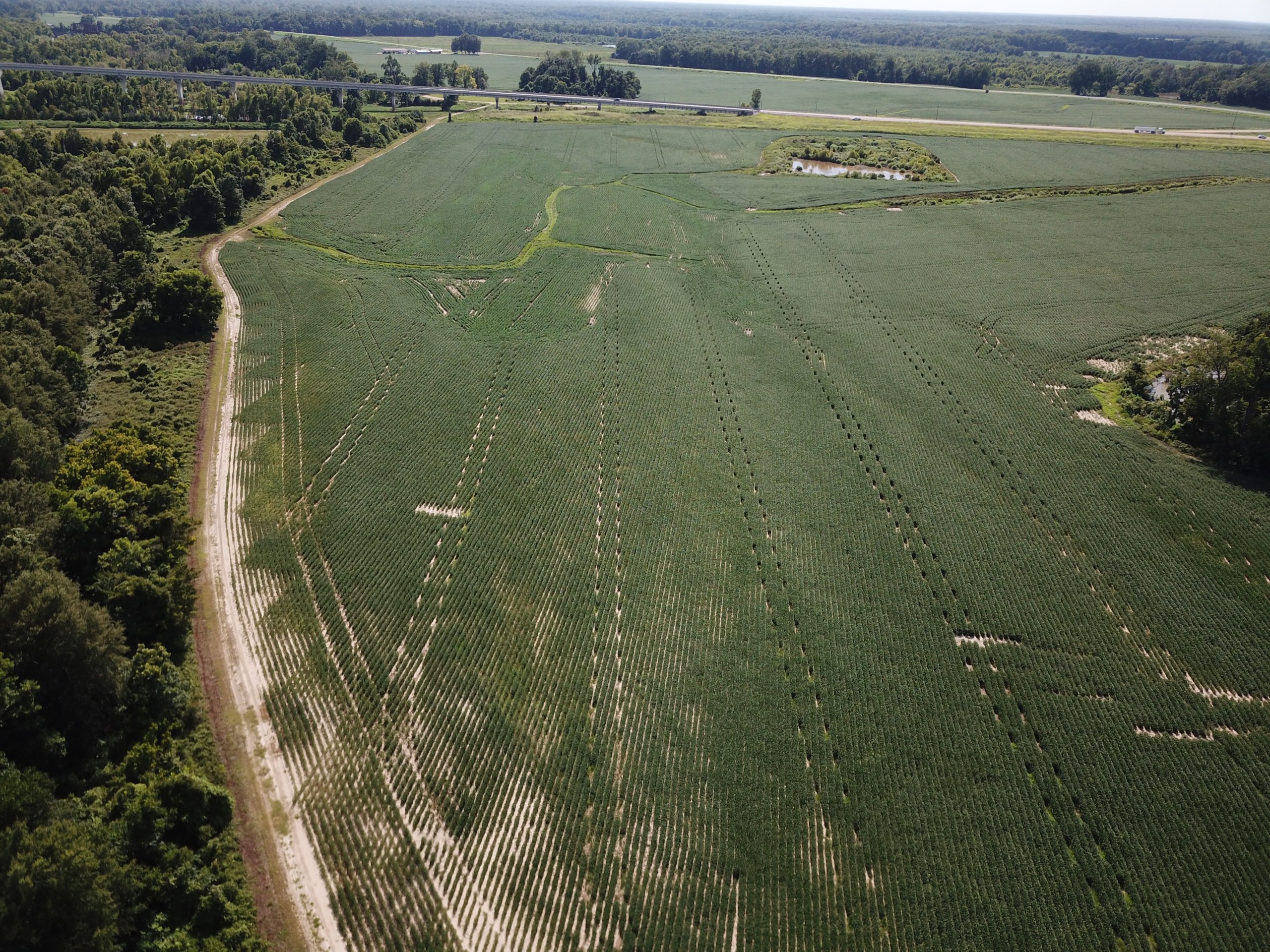 Fowler Plantation Tract C 9 scaled 1