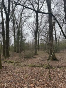 Photo Mar 05 2024 9 44 16 AM scaled 1