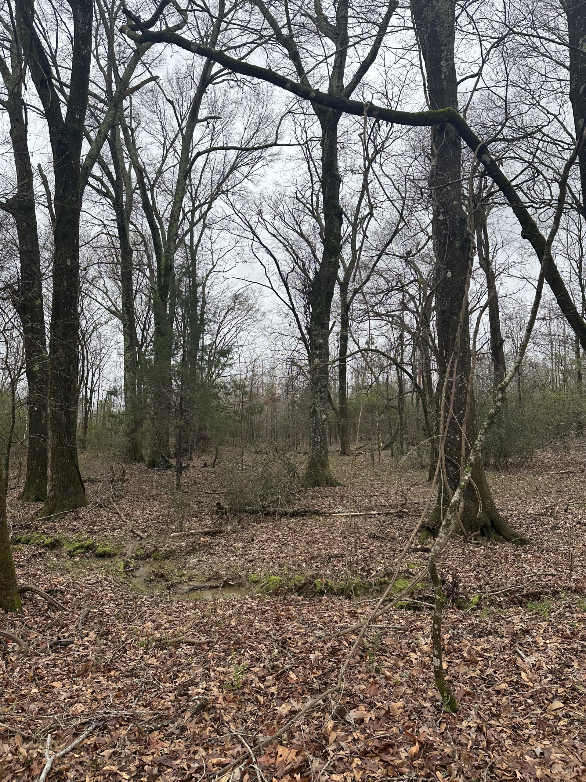 Photo Mar 05 2024 9 44 16 AM scaled 1