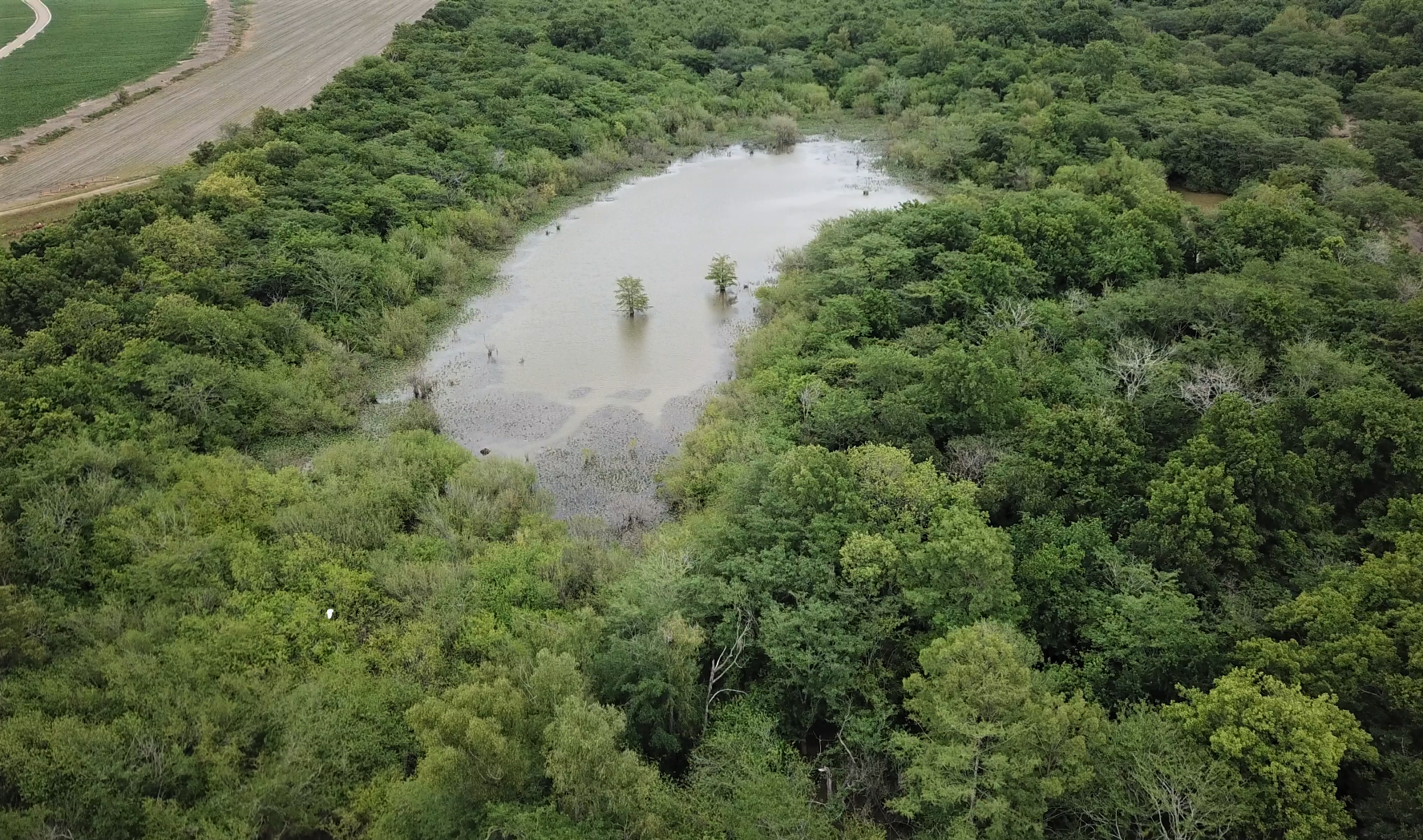 Porter Bayou Overview