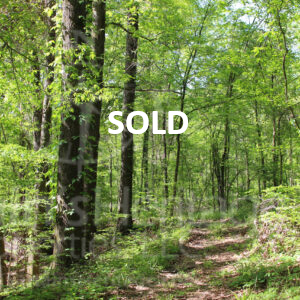 Gilmer Sold