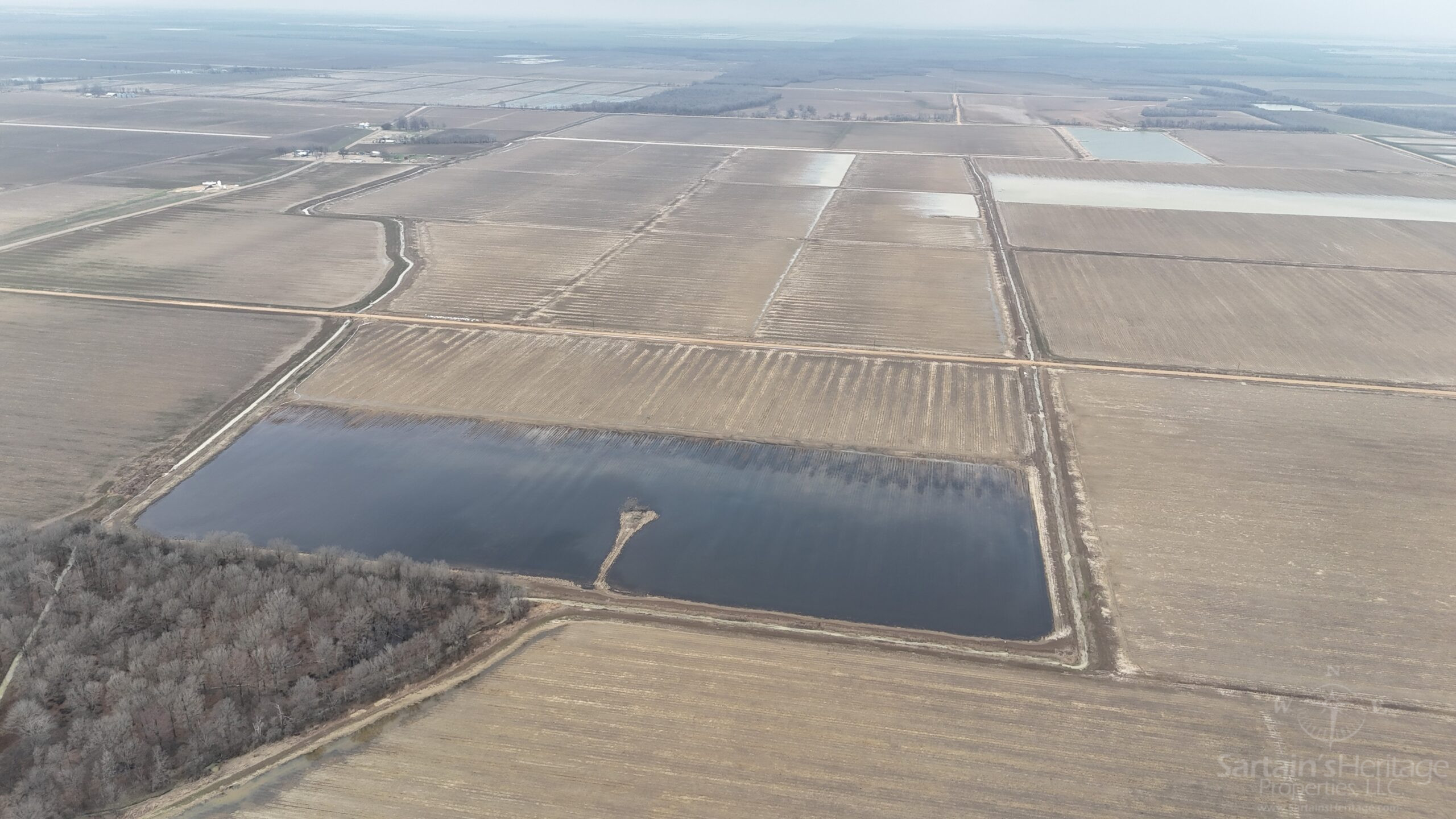 Asa Bennett 3 scaled 1