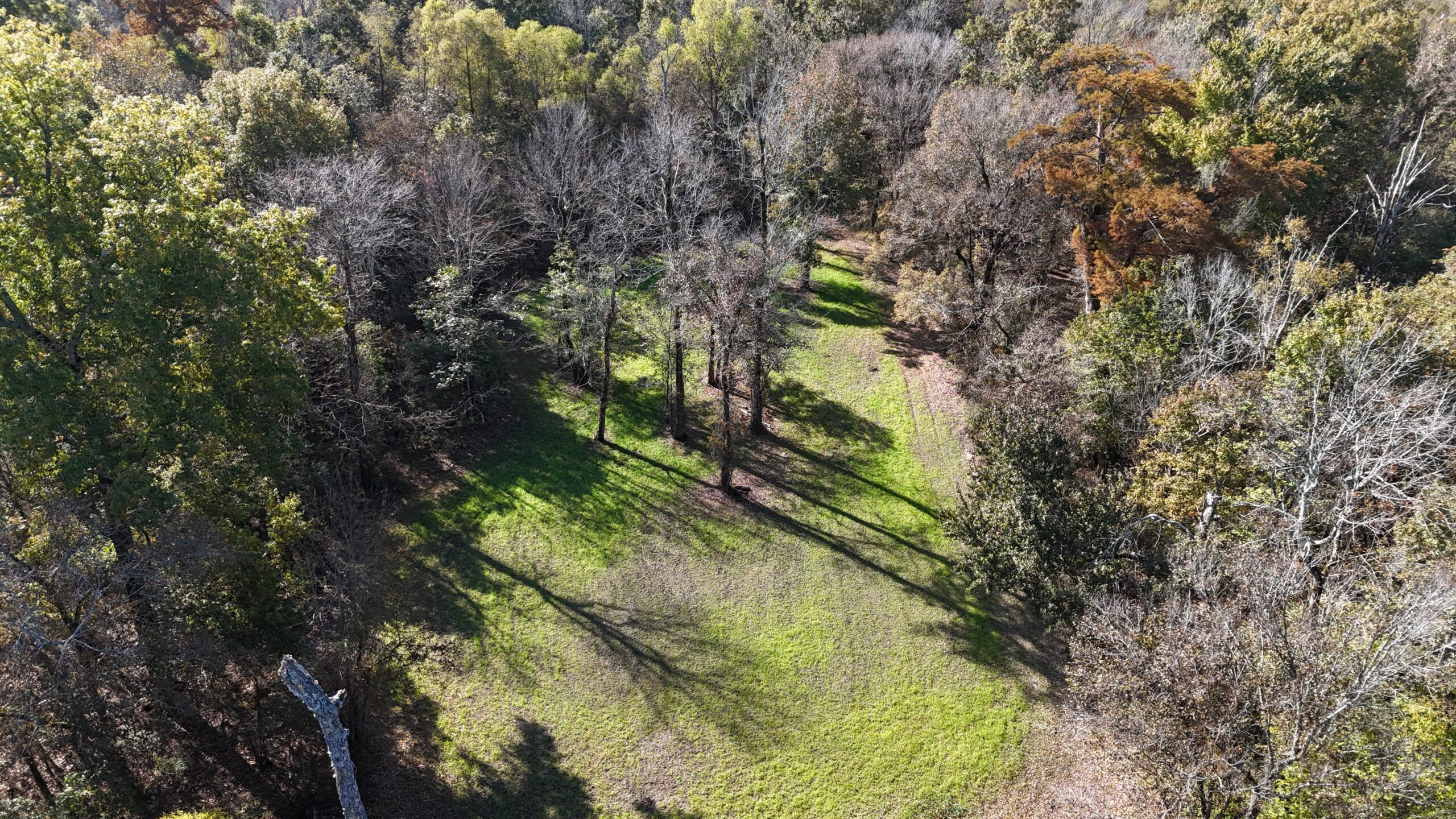 DJI 20251113102042 0142 D scaled