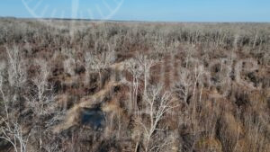 DJI 20260209154525 0182 D