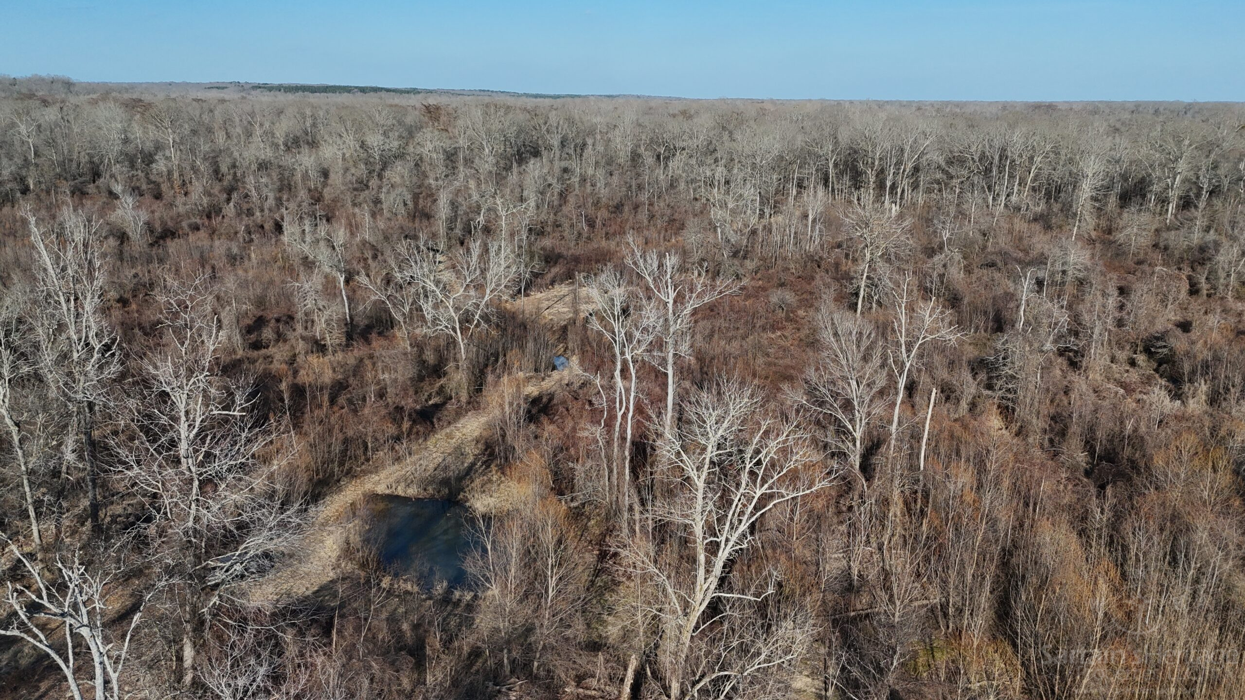 DJI 20260209154525 0182 D scaled