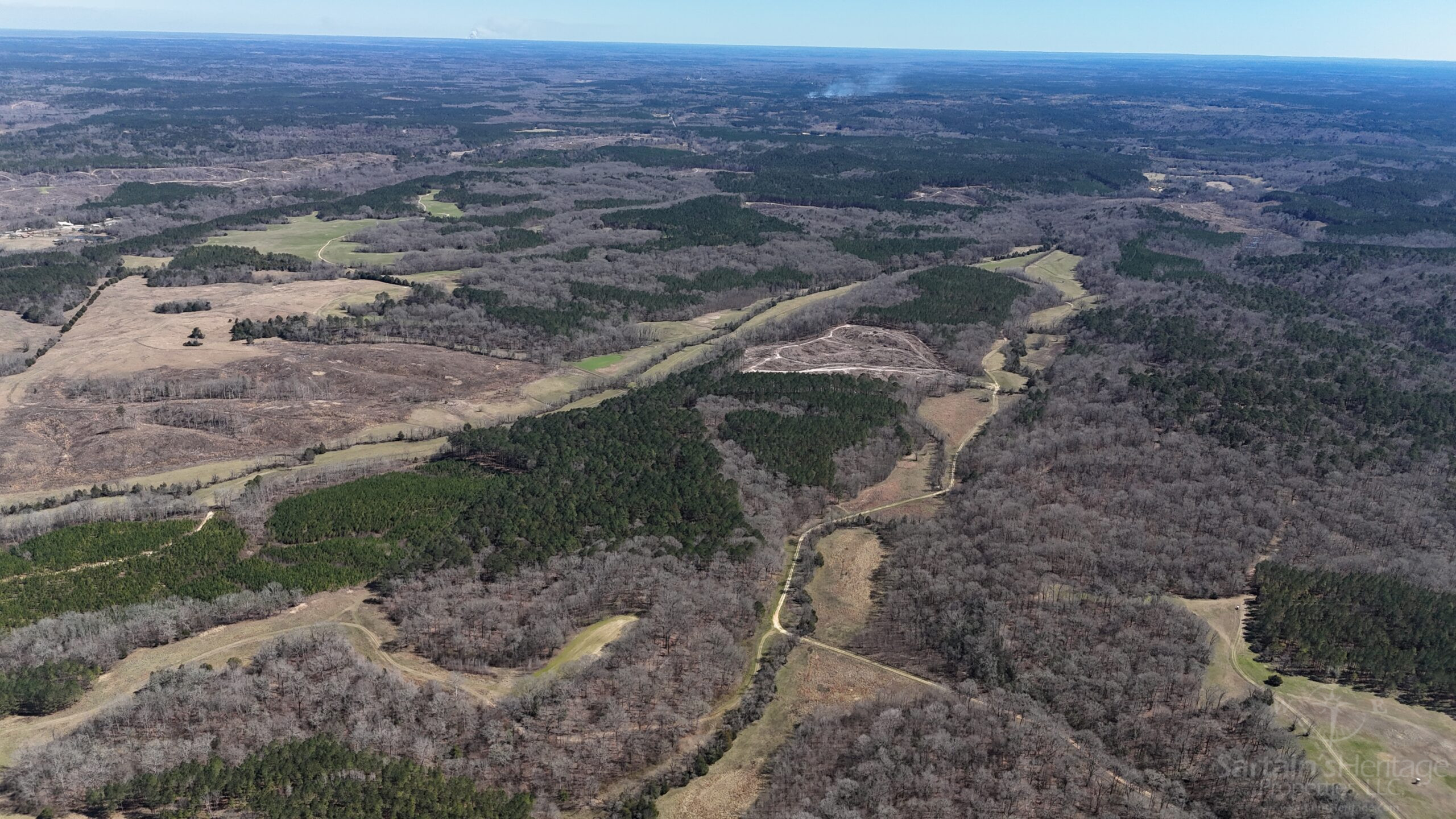 DJI 20250225124047 0110 D scaled